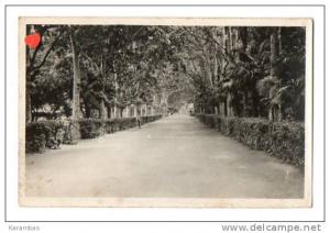 ALGERIE-12706-SIDI-BEL-AB BES-Allée du Jardin Public