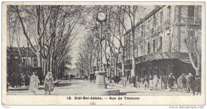 Algerie Sidi Bel Abbes Rue de Tlemcen mignonette