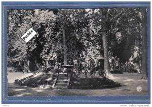 Carte Postale Algérie  Sidi Bel abbès  le rond point très beau plan