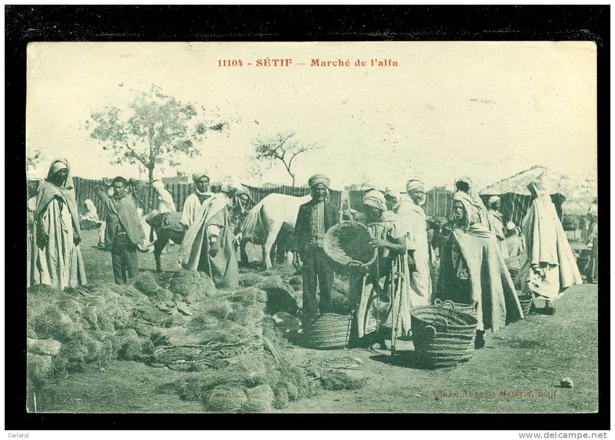 Algérie  - Algerije      Sétif  -  Marché de l'Alia