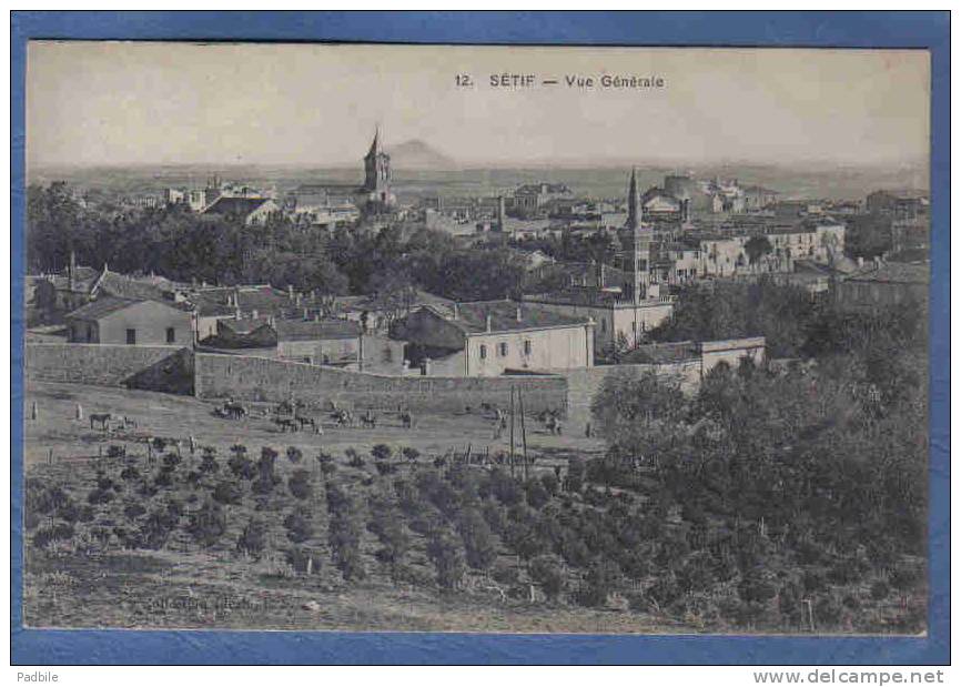 Carte Postale Afrique Algérie Sétif  trés beau plan