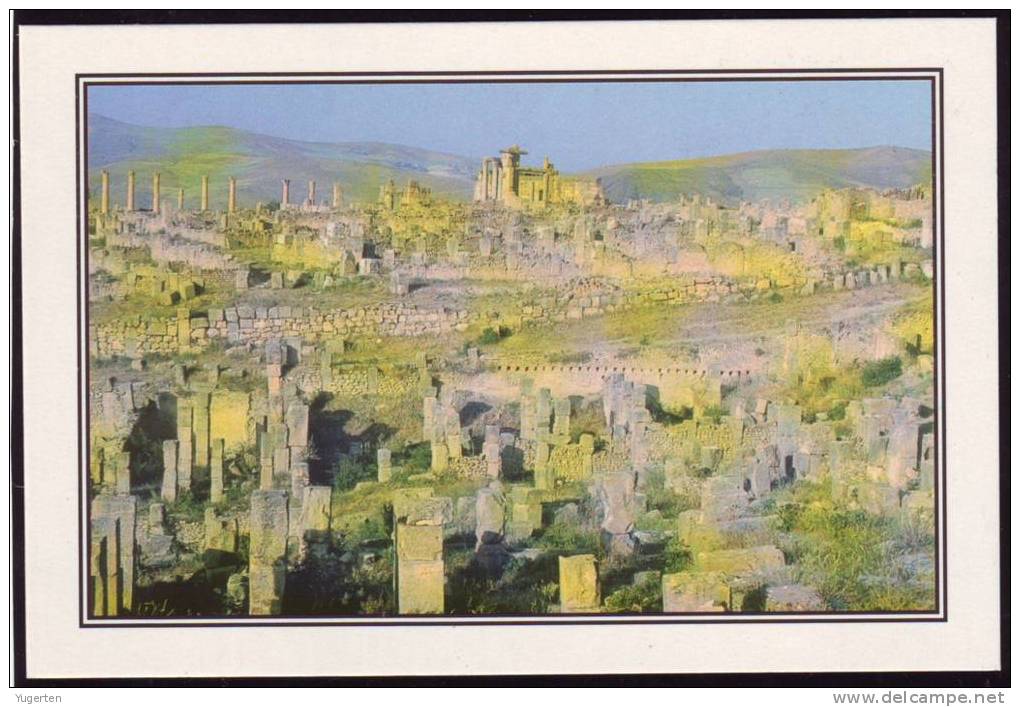 ALGERIE - CP - Djemila, Vue Générale - Ruines romaines - Romans ruins - Neuve / Mint