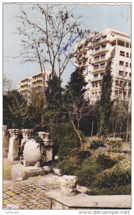 carte postale ancienne,algérie française,colonie,Maghreb ,SETIF avant le démarage des émeutes,patrimoine archéologique
