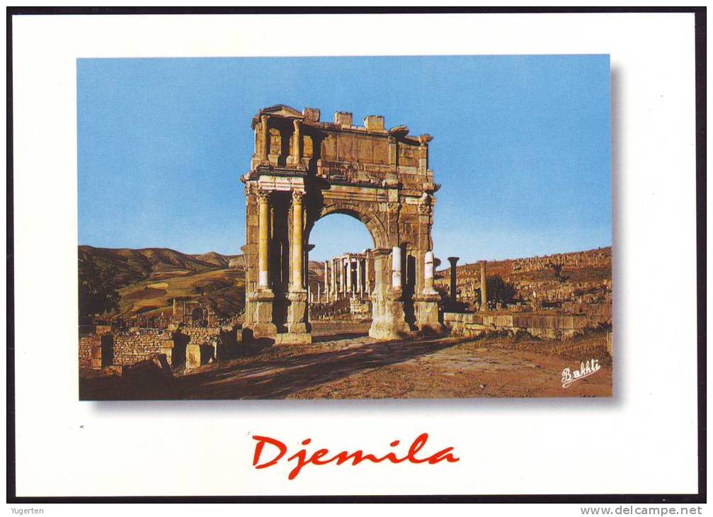 ALGERIE - ALGERIA - CP - Djemila - Ruines romaines - Neuve/Mint
