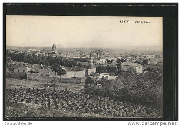 CPA Setif, Vue generale, Totalansicht mit Umgebung