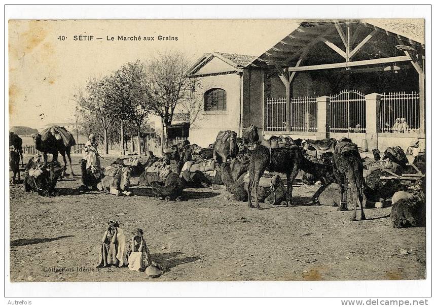 ALGERIE   SETIF  LE MARCHE AUX GRAINS