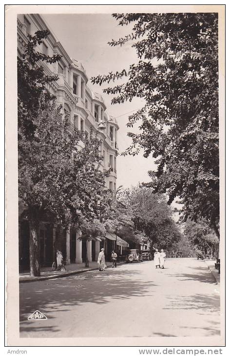 (XVII) Sétif - Avenue Georges Clémenceau