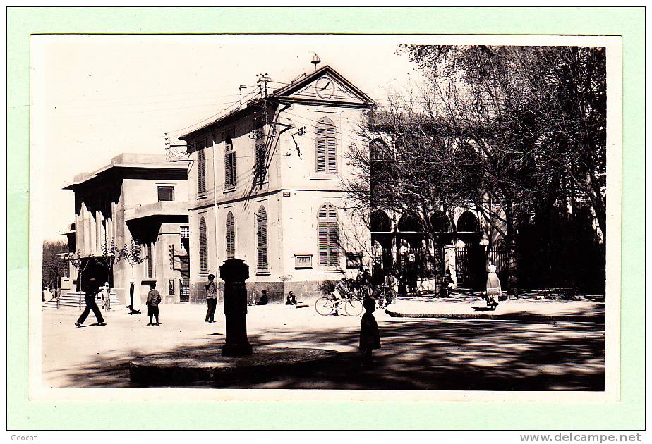 CPSM ALGERIE SETIF La mairie et la salle des fetes