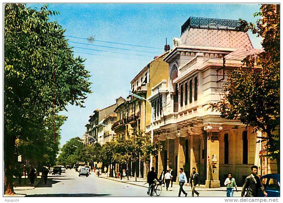 CPSM   ALGERIE  SETIF  Rue animée    edEts Bakhti   n°1250