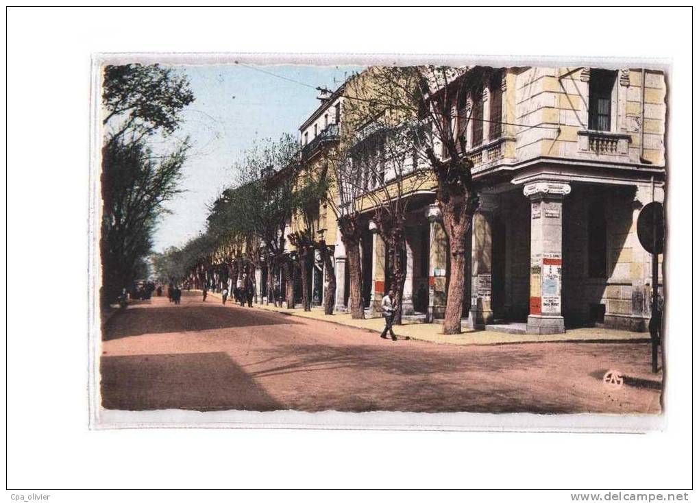 ALGERIE Sétif Avenue Clémenceau, ed Sirecky 18, CPSM 9x14, 195?