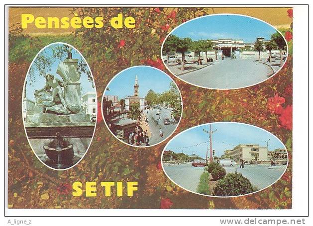ref 28 CPSM Algérie Sétif pensées de ... Multivue