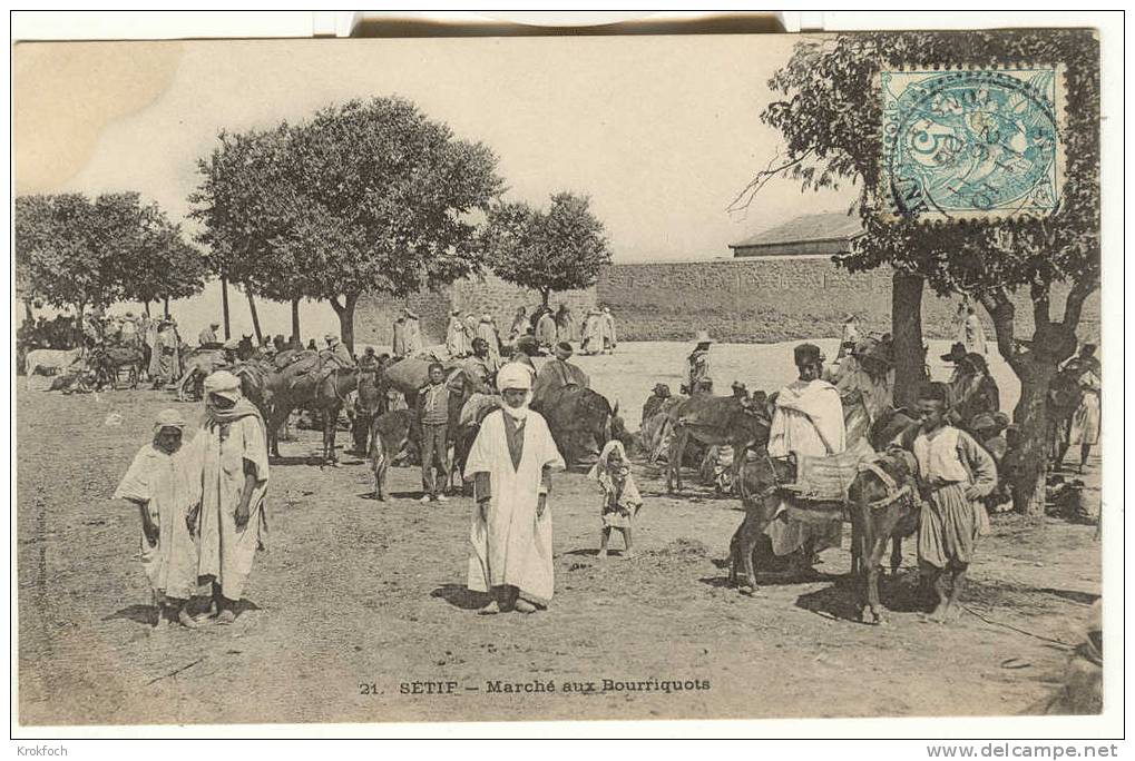 Setif - marché aux bourriquots - ane