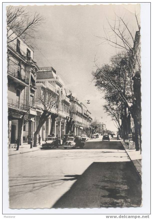 ALGERIE  RARE    SETIF    Sous la NEIGE , av. Clemenceau  4 CV RENAULT  PEUGEOT 203 ... -  Animé  -