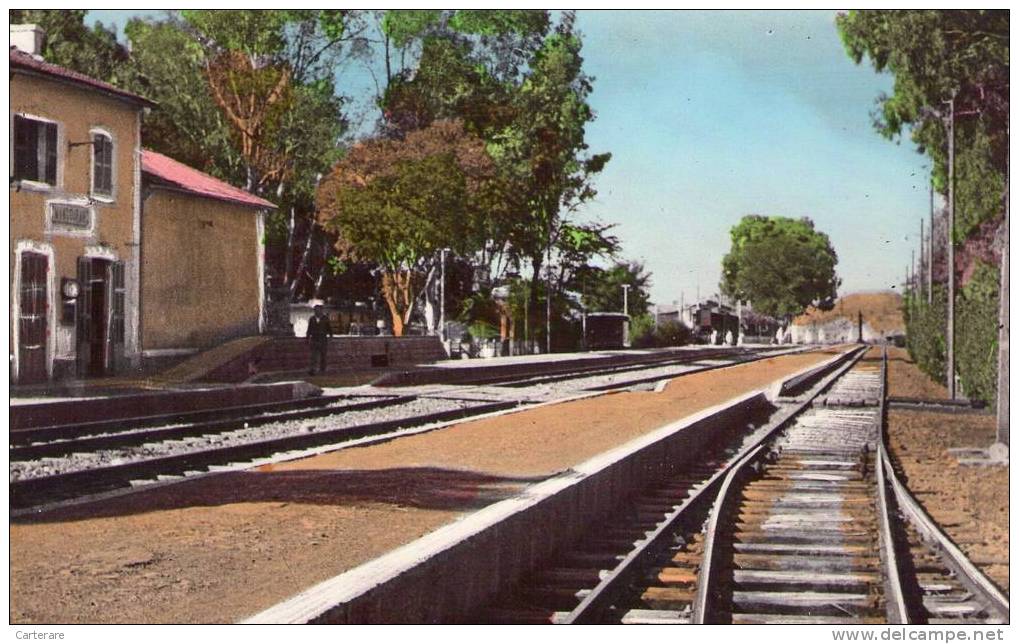afrique,algérie,mansourah ,des  biban(sétif) la gare,chemin de fer