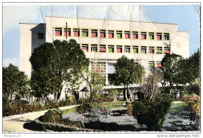 CPA (RéfK078) SÉTIF (AFRIQUE ALGÉRIE) 294 - jardin de l'Hôtel des Finances
