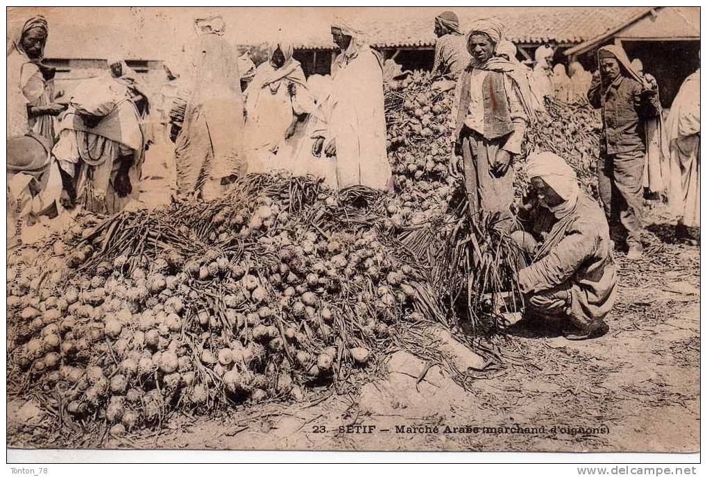 SÉTIF  -  MARCHÉ ARABE  -  MARCHAND D' OIGNONS