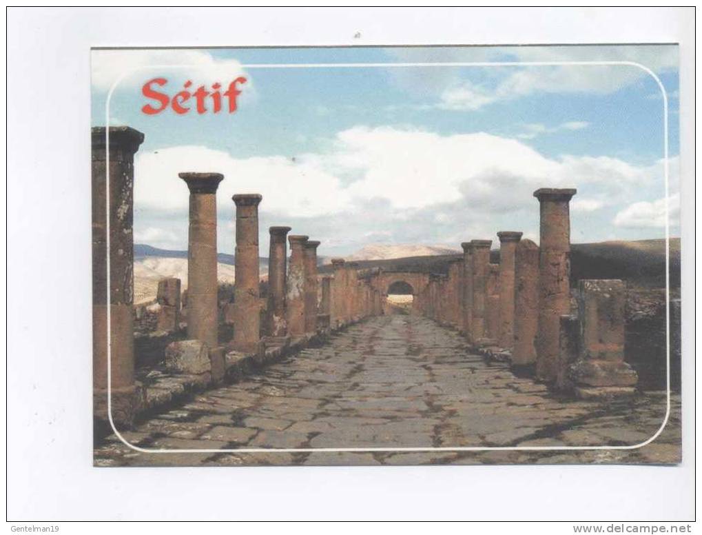 Carte postale Ruines romaines de djemila