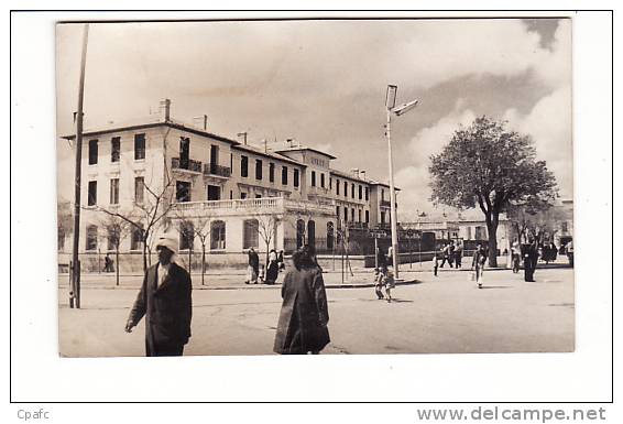 Setif  Lycée Albertini
