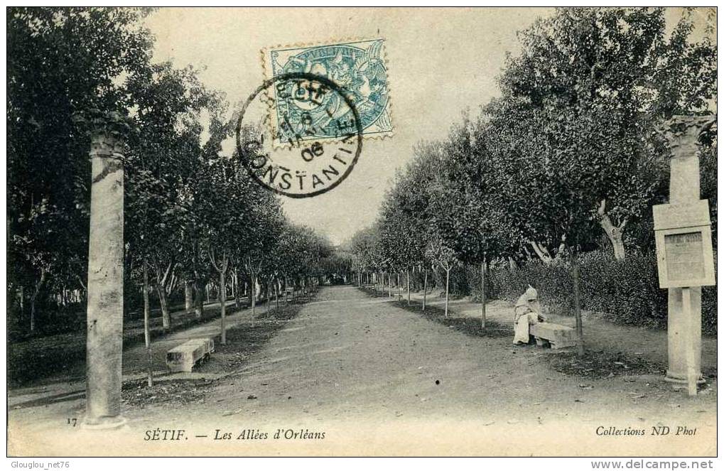 CPA  SETIF COLONNES LES ALLEES  D´ORLEANS ANIMEE VOIR SCANER
