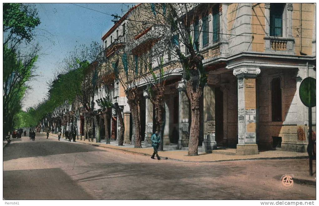 ALGÉRIE - SÉTIF  L'avenue Clémenceau