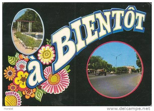 Algerien - Sétif - Jardin municipal - Avenue du 8.5.1945 - old stamp