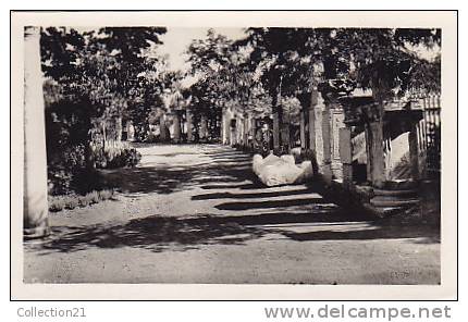 SETIF ... JARDIN D ORLEANS