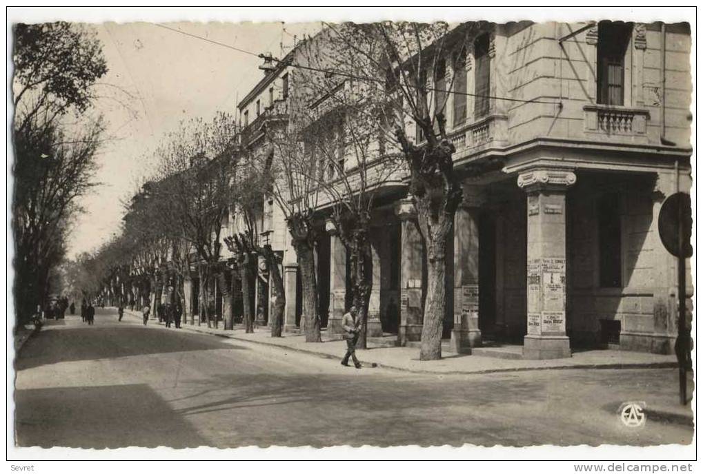 SETIF. - Boulevard Clemenceau.  CPSM 9x14