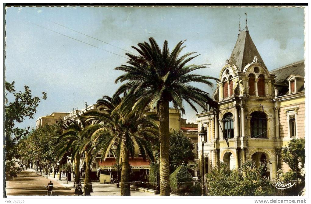 CPSM  SIDI BEL ABBES, Hôtel de Ville et Avenue de la République  7949