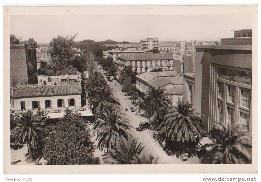 CPSM ALGERIE SIDI BEL ABBES Boulevard de la République Commerce Le Grand Café de France