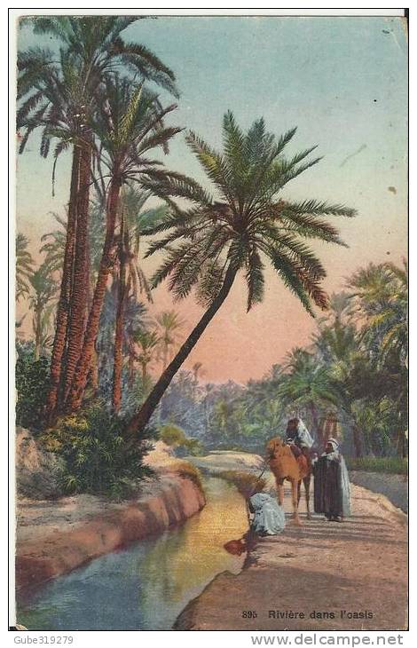 ALGERIA 1926 - POSTCARD 895 “RIVIERE DANS L’OASIS” “RIVER IN THE OASIS”  NOT SHINING – WRITTEN ON THE BACK ON JUNE 9 192