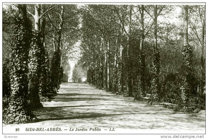CPA ALGERIE SIDI BEL ABBES N°26 LE JARDIN PUBLIC LL LEVY & NEURDEIN REUNIS PARIS IMP