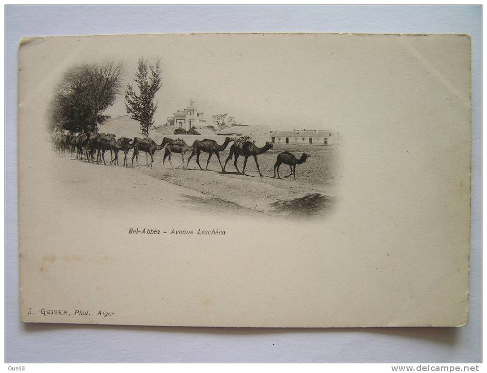 cpa, précurseur, très belle vue animée, Bel Abbès, avenue Leschère