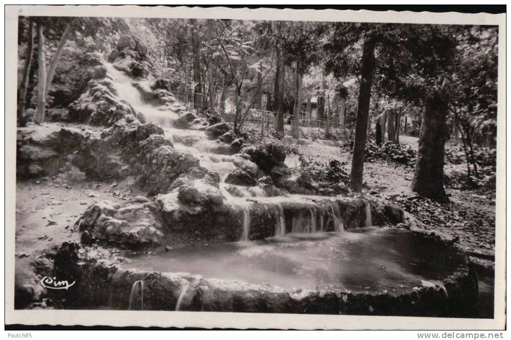 PORT GRATUIT   8300   SIDI  BEL  ABBES