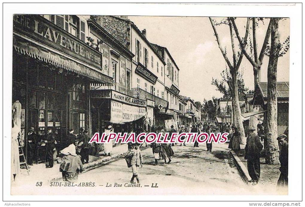 ALGERIE - SIDI BEL ABBES  RUE CATINAT.