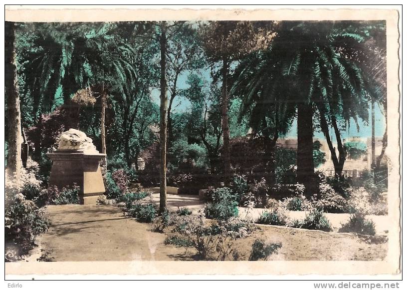 ALGERIE - Sidi Bel Abbès  La chute d'Icare   neuve excellent état