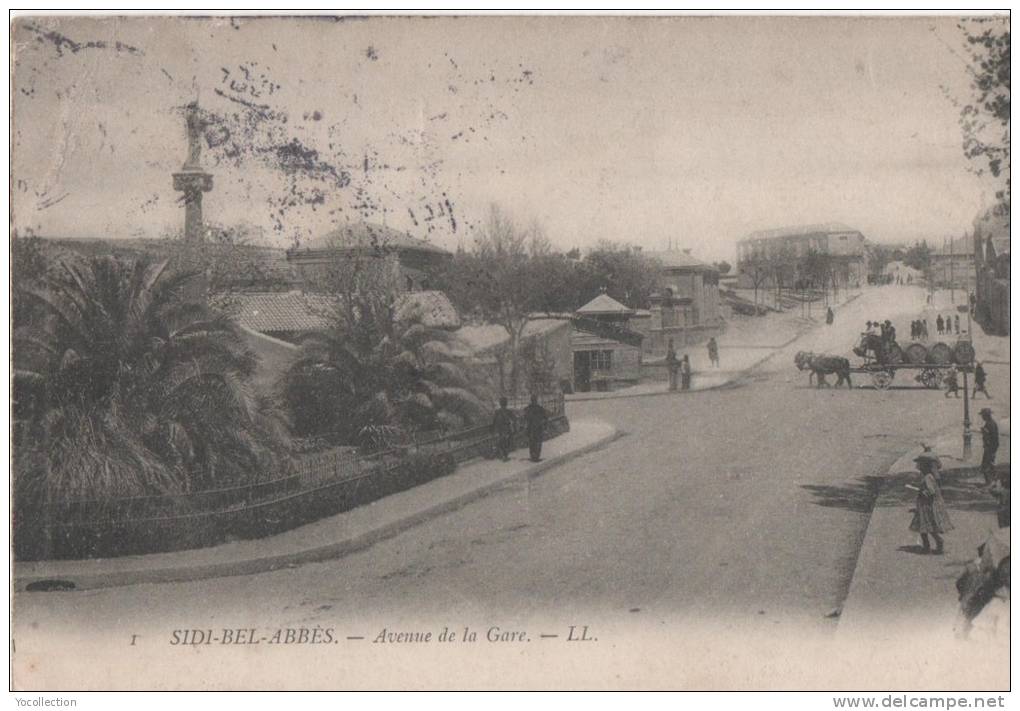 ALGERIE SIDI BEL ABBES AVENUE DE LA GARE