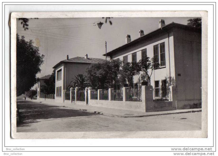 Sidi bel Abbès - Collège de garçons - 1950 - n° 12