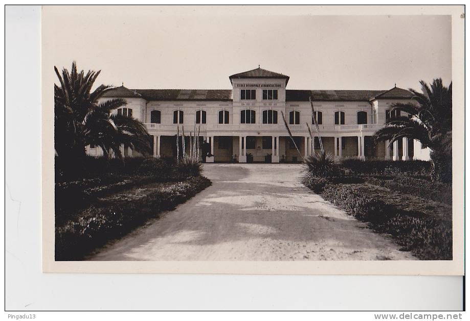 Sidi Bel Abbès Ecole d´Agriculture Superbe état