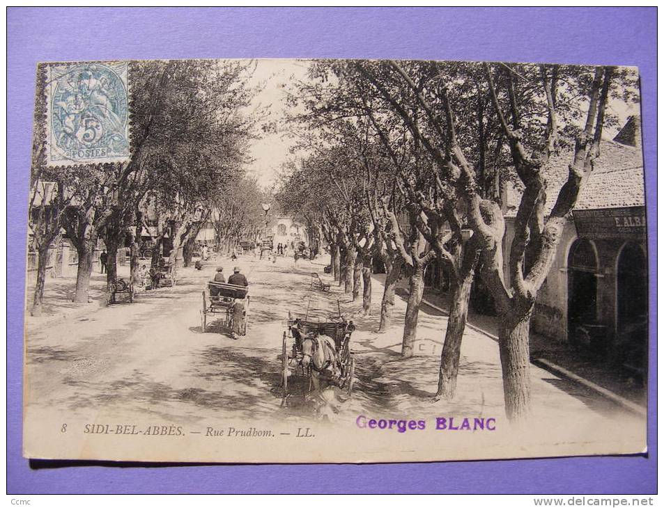 CPA - Algérie - Sidi-Bel-Abbès - Rue Prudhom