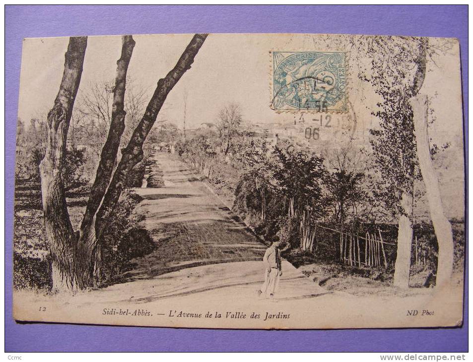 CPM Algérie - Sidi-Bel-Abbès - L´Avenue de la Vallée des Jardins