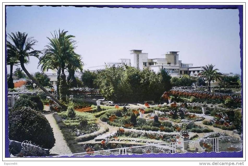 C. Postale  ALGERIE - SIDI-BEL-ABBES - LE NOUVEL HOPITAL (1957)