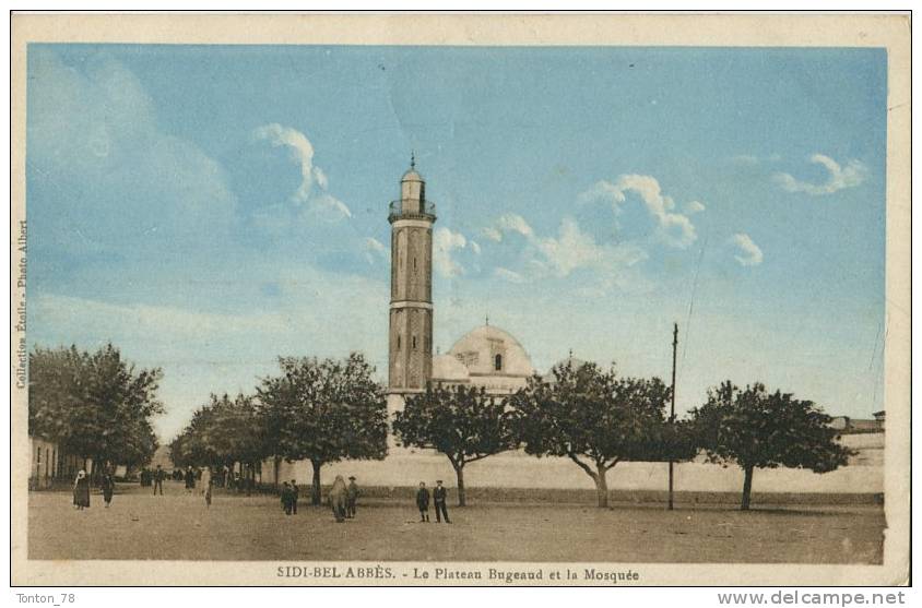 SIDI-BEL-ABBÉS  -  LE PLATEAU BUGEAUD ET LA MOSQUÉE
