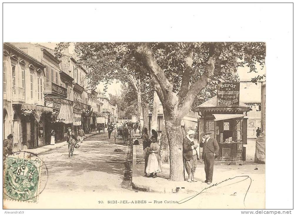 SIDI BEL ABBES Rue catina top animation