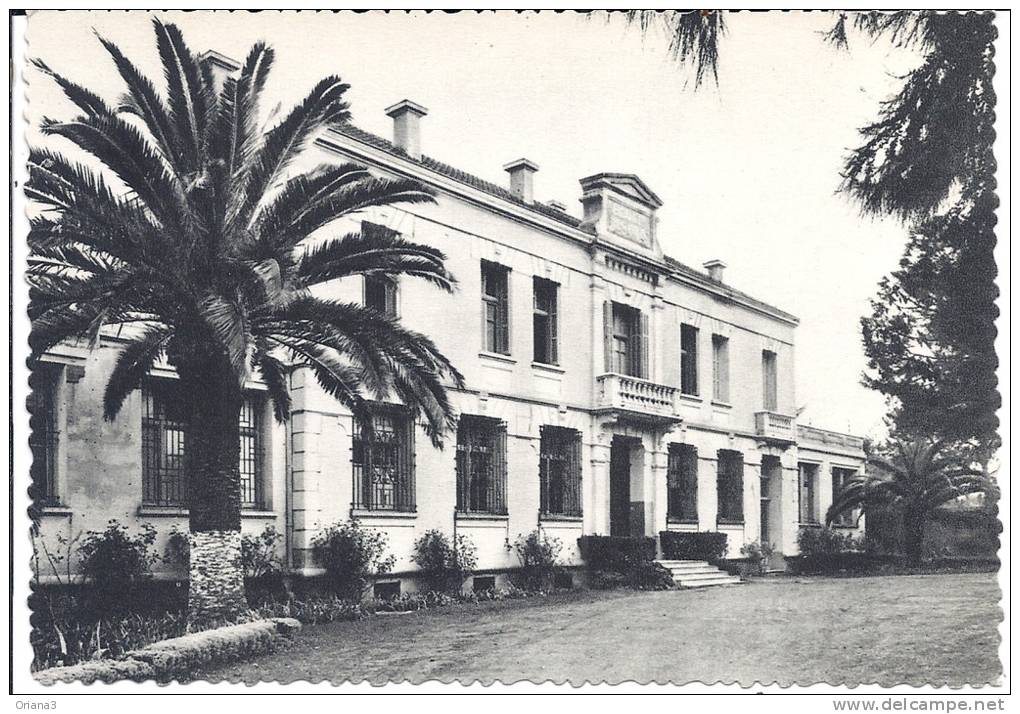 --  SIDI BEL ABBES -- ECOLE DE SONIS -- PHOT UNIVERSITAIRE RAYJANE --