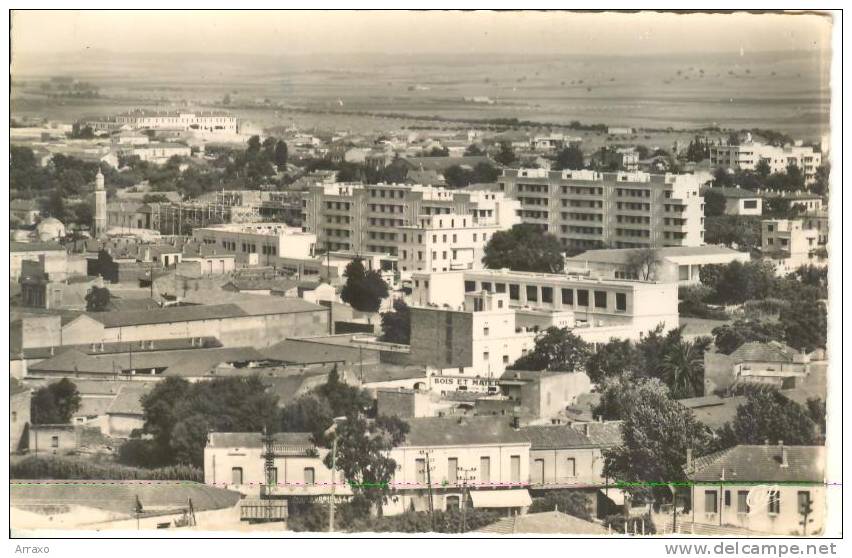AF001 - Sidi Bel Abbes - Vue generale