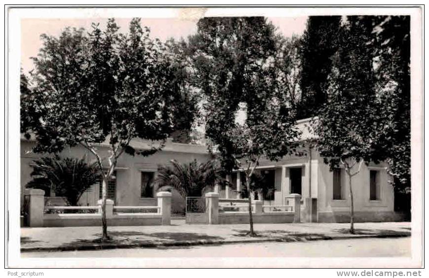 Afrique - Algérie - Sidi Bel Abbès - cercle militaire - carte glacée