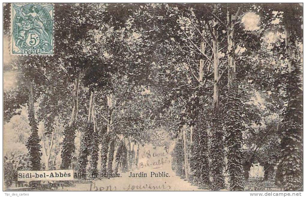 Sidi-Bel-Abbès - Allée Principale, Jardin Public