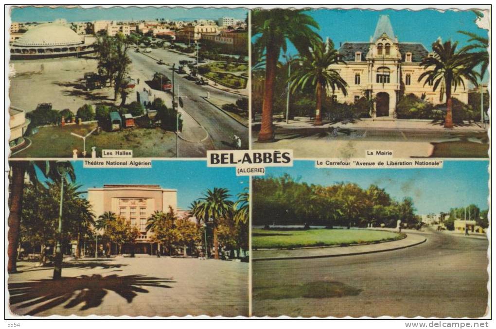 cpsm   algerie sidi bel abbes  les halles la mairie le theatre le carrefour avenue de  liberation nationale