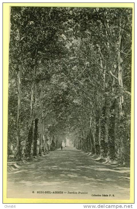 - Algerie - Sidi Bel Abbes - Jardin Public - Collection Ideale PS 6.