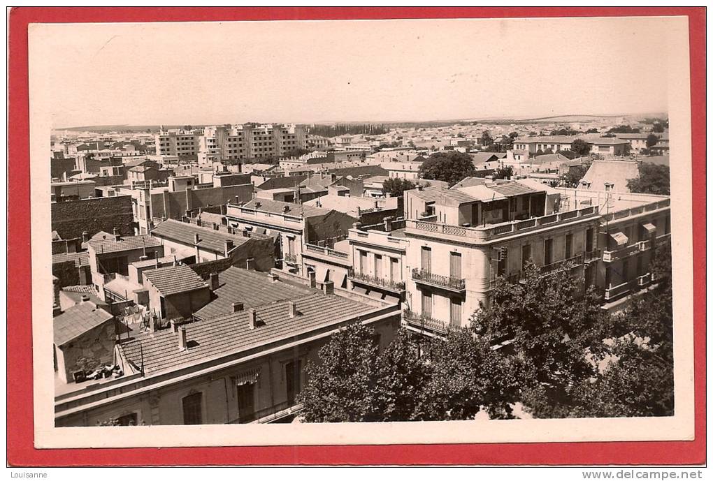 12 / 11 / 203  -  SIDI BEL ABBES  - Vue générale - CPSM